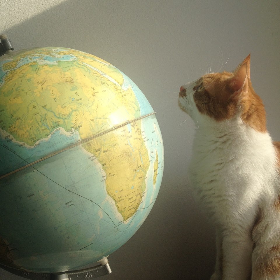 12243109_10156238539835503_7496628541076841848_n