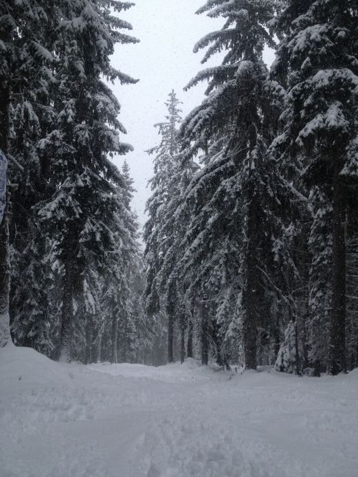 12525612_10156431382110503_7468296291283038538_o