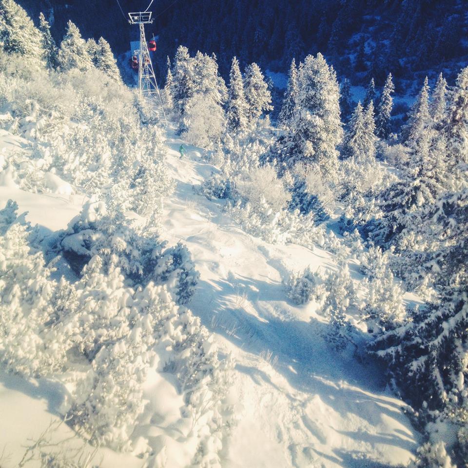 12647238_10156499558170503_1744154873610119706_n