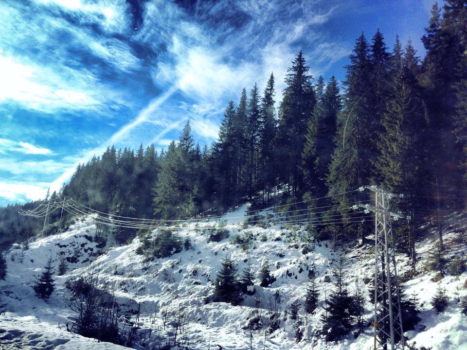 12742437_1239301546086936_720153301604017859_n