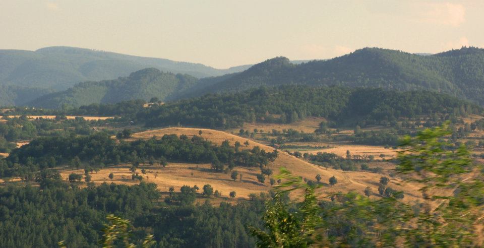 406297_10151995388790503_1888103728_n