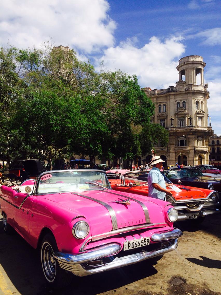 12980687_10154153528563809_1612076342_o