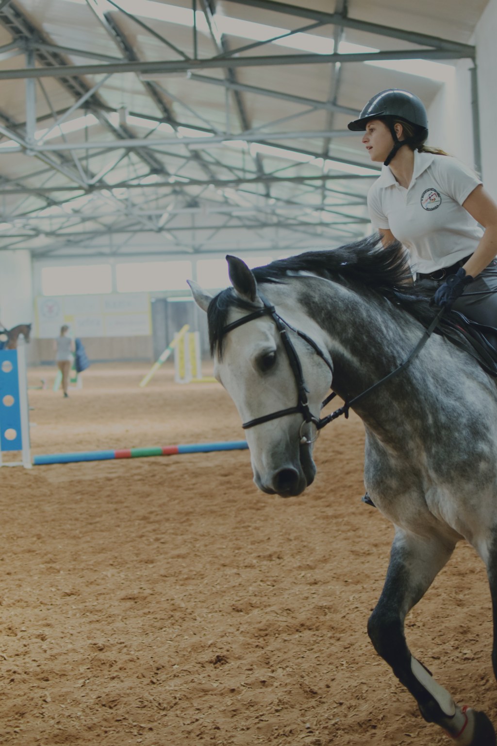 Things to do near Sofia | Horse&nbsp;riding