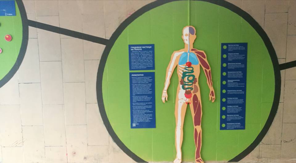 23472419_2105497702809299_54782255867702115_n