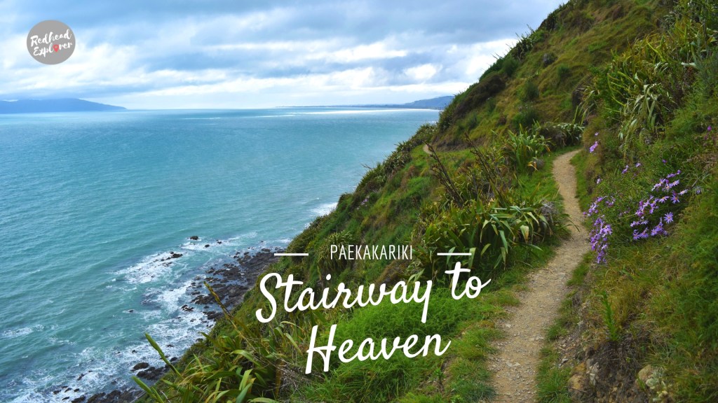 Paekakariki, New Zealand | Our 10 km hike along the Tasman Sea&nbsp;Coast